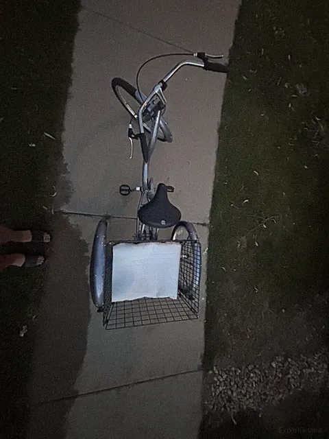 Blue Adult Tricycle with Basket