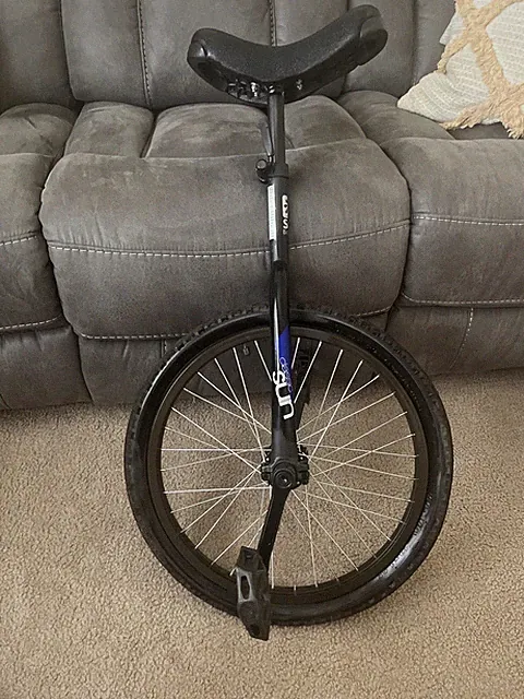 Sun Bicycles Classic Unicycle 20” - Matte Black, Sealed Bearings, Quick Release.